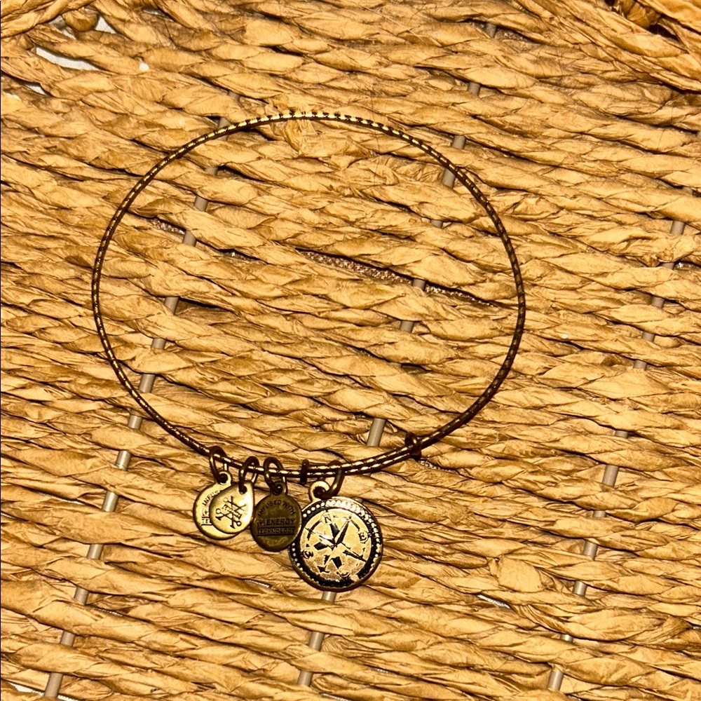 Alex and Ani Gold Twisted Bangle Compass